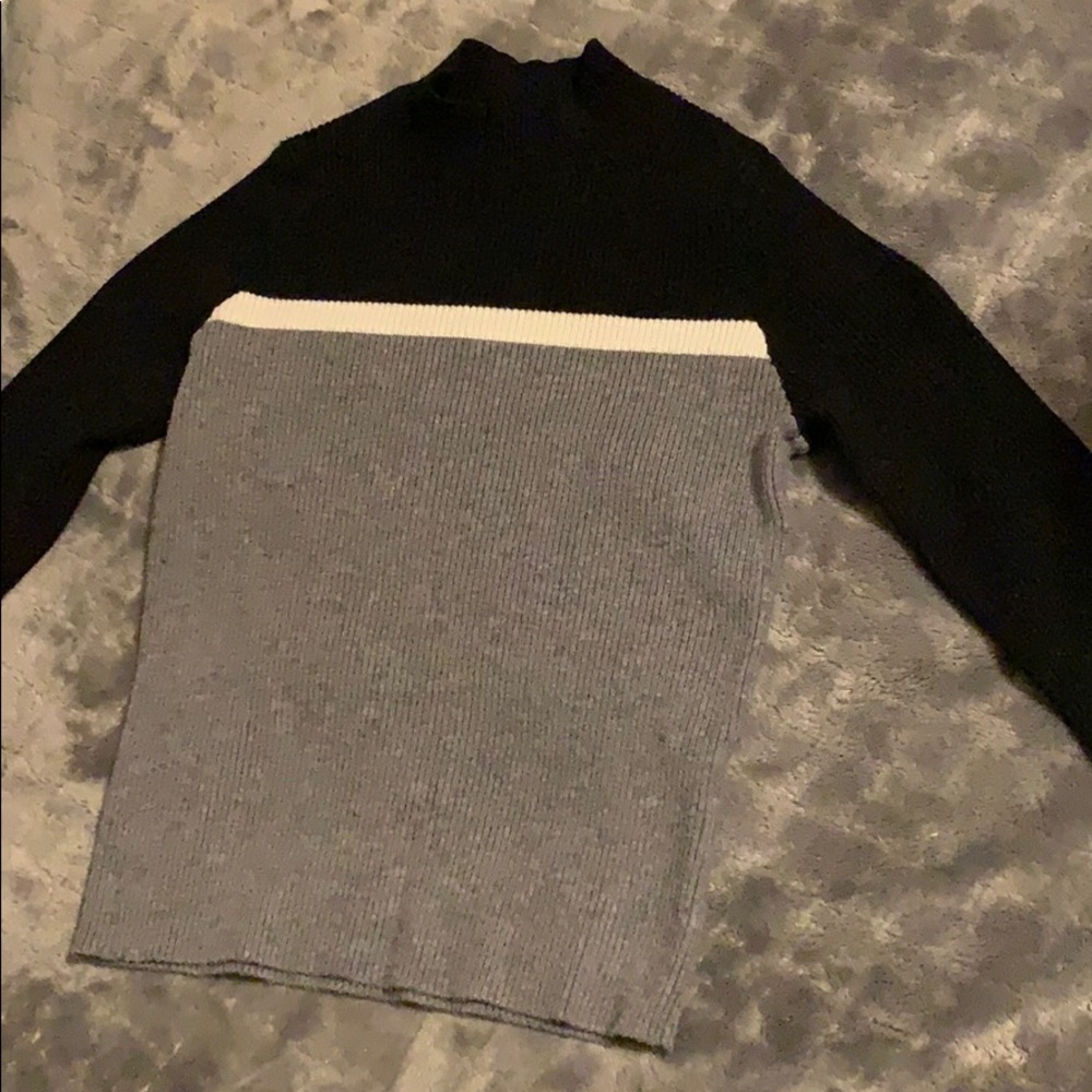 brandy melville crop top / turtle neck